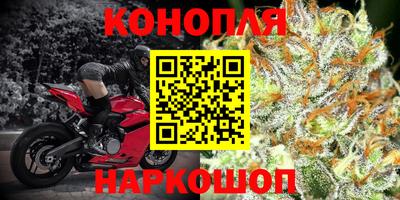 гидра Бузулук
