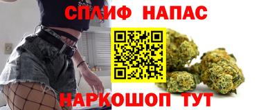 гидра Бузулук